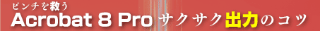Acrobat 8 Proサクサク出力のコツ