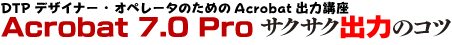 Acrobat ProTNTNo͂̃Rc