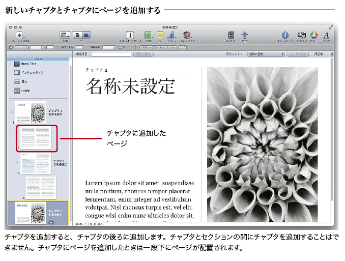 iBooks Author