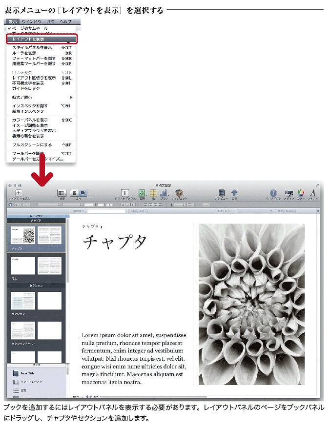 iBooks Author