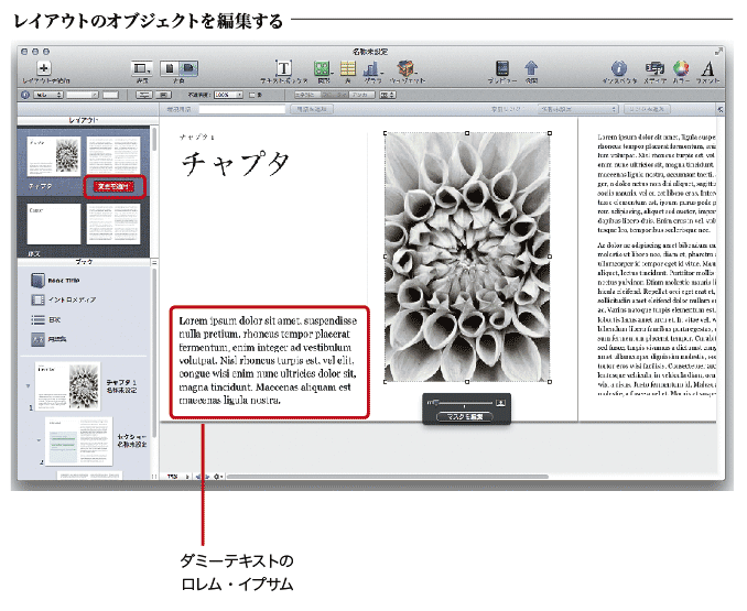 iBooks Author