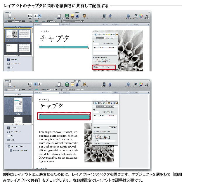 iBooks Author