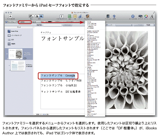 iBooks Author