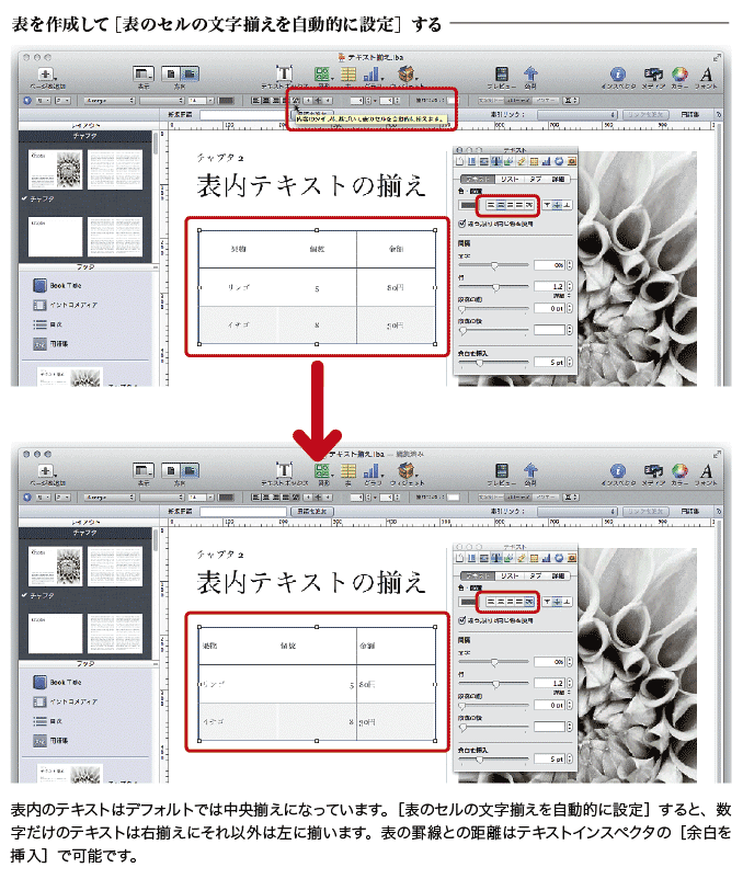 iBooks Author